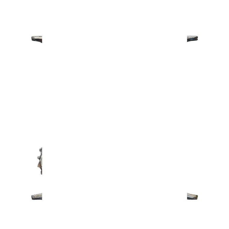 Buchstabe "X" im Drachendesign.