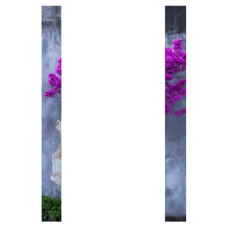 Vibrant Blossom Against Rustic Wall