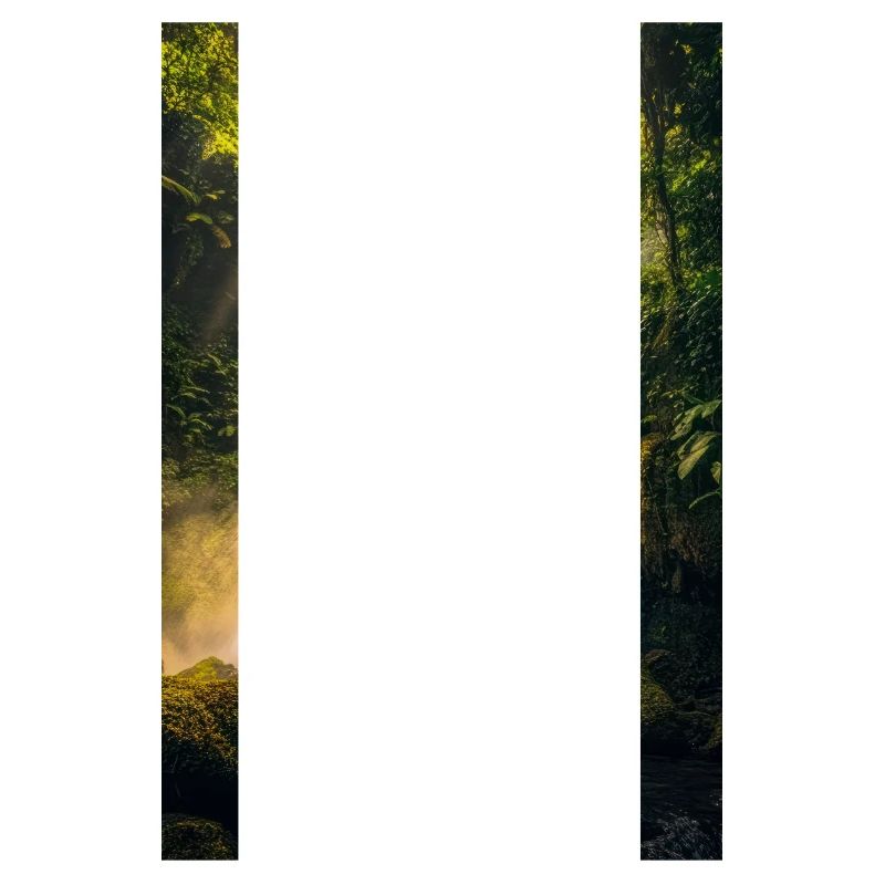Sunlit Cascade in Rainforest