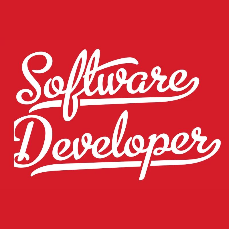 Software Developer