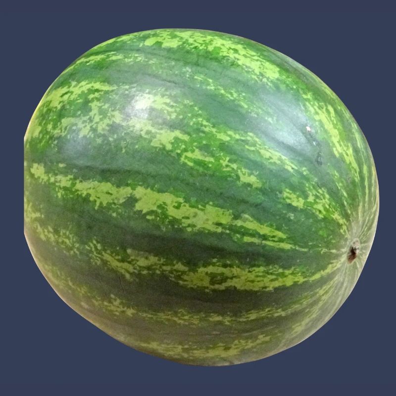 veggie pastèque pastèque melon melon gemues