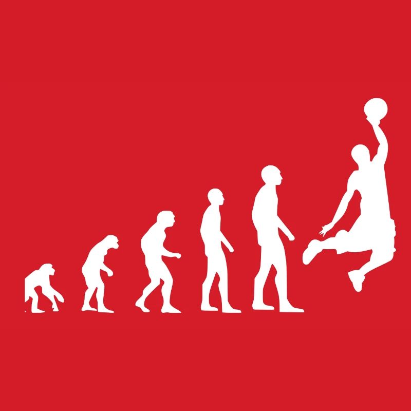 Evolution du basket