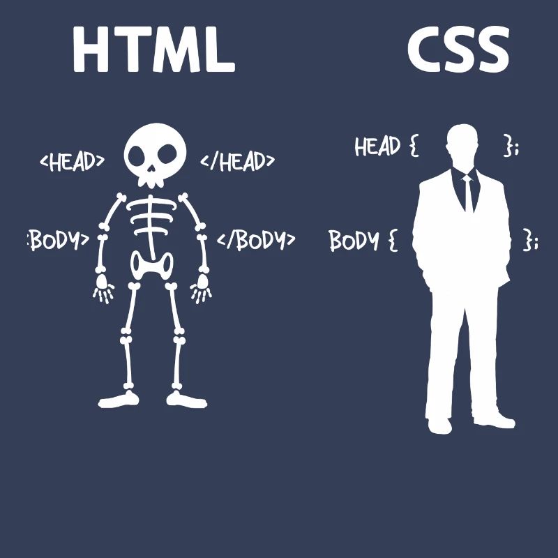 Code Css C++ Php Java Developer Code Scripting