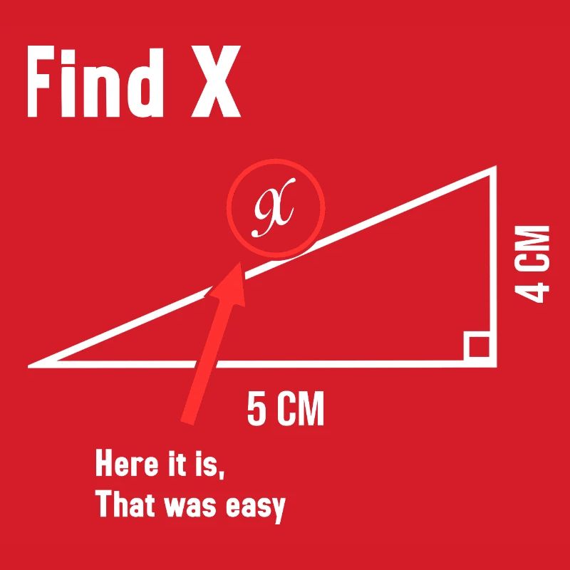 Find X Math Lover Mathematician Math Teacher