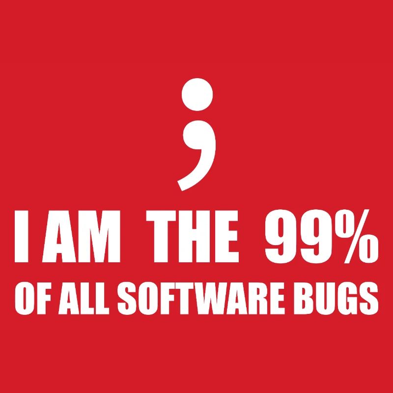 Informatiker, Programmierer