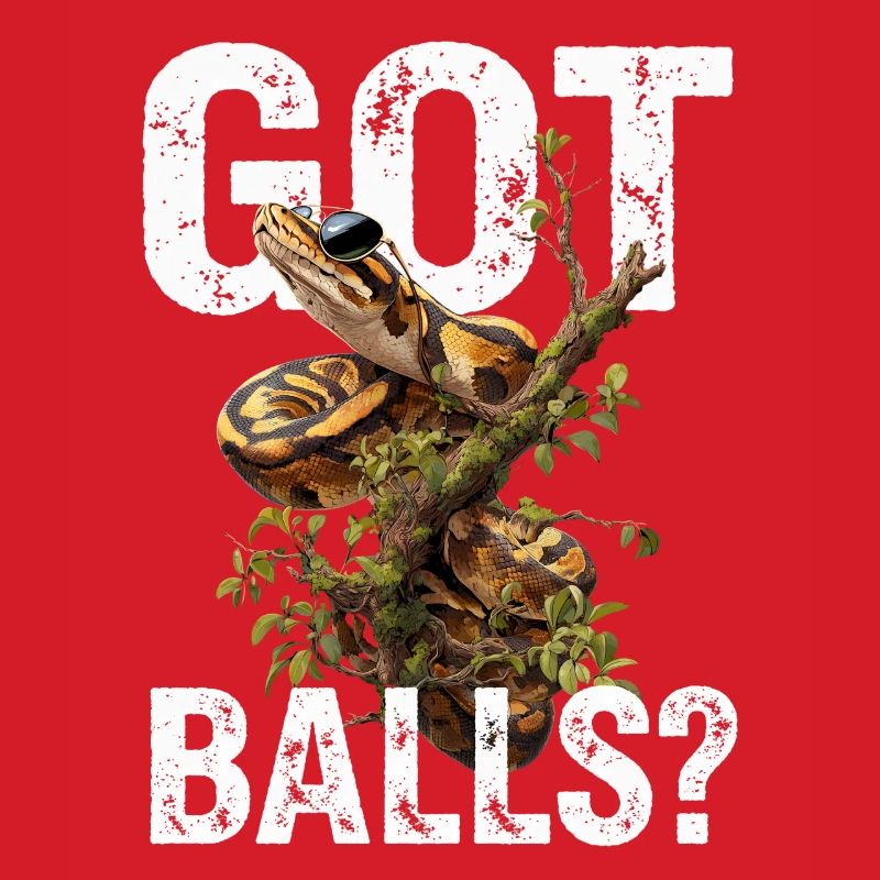 Königspython Schlangen Liebhaber Terrarium Python