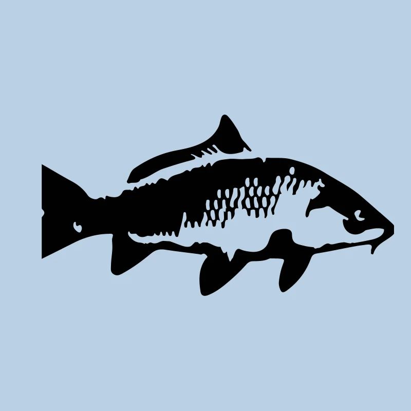 carp fish