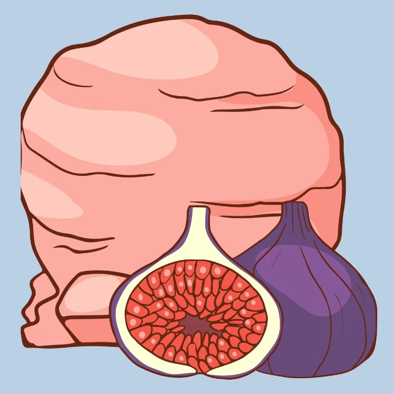 Feigenfrucht Eis Speiseeis Eiskrem Eiscreme