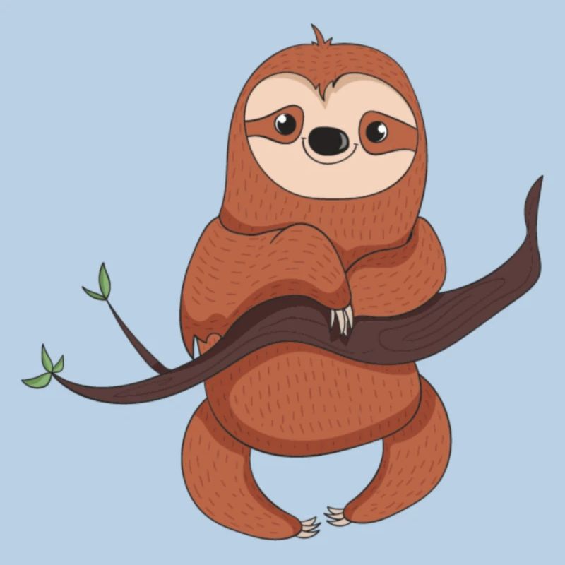 sloth