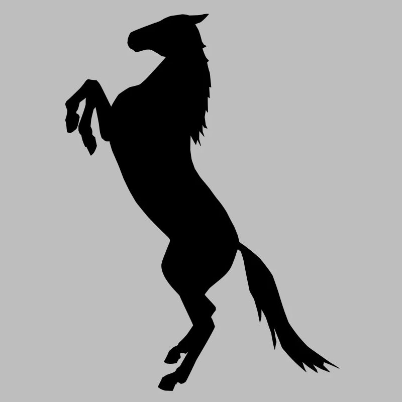 élevage de chevaux