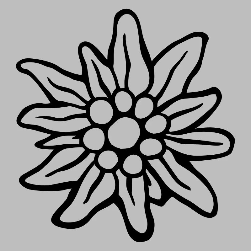 edelweiss