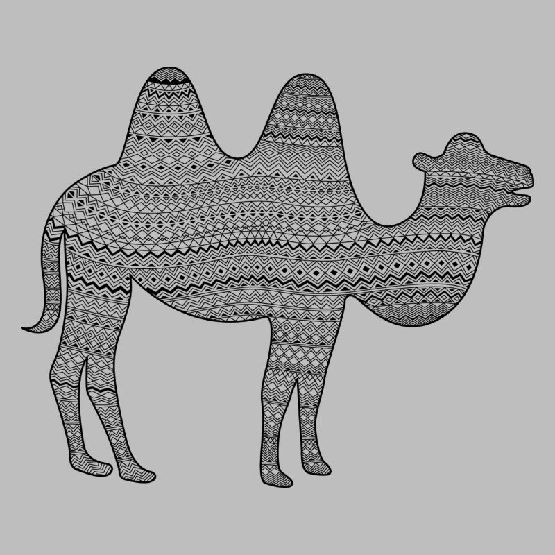kamel