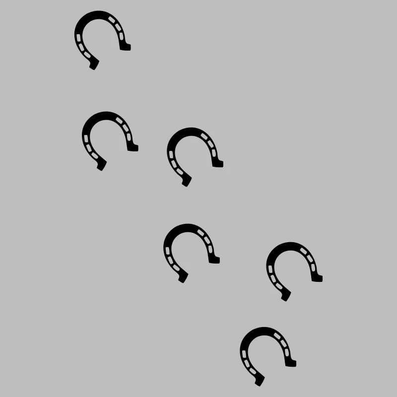 bourrin fer à cheval