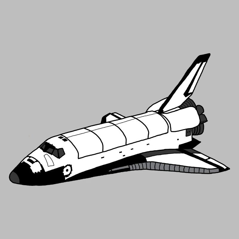 Space Shuttle