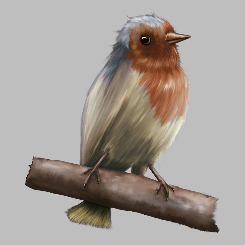 Robin