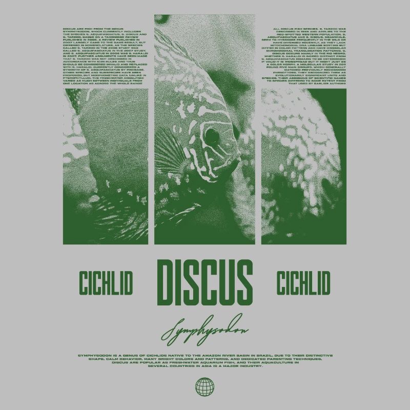 Discus Cichlidé Aquarium Fish Keeper