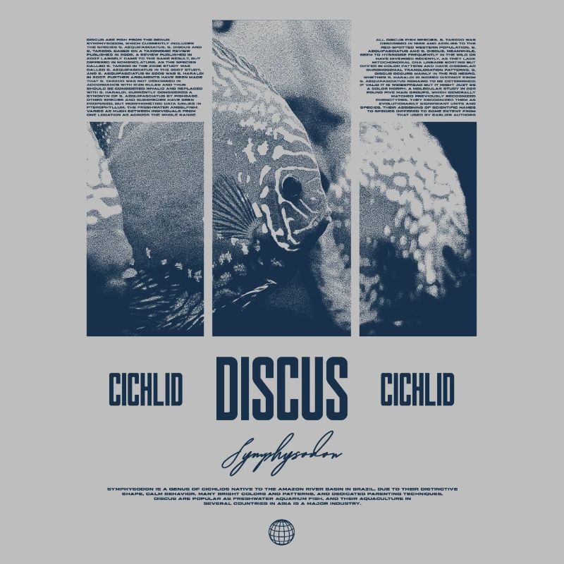 Discus Cichlidé Aquarium Fish Keeper