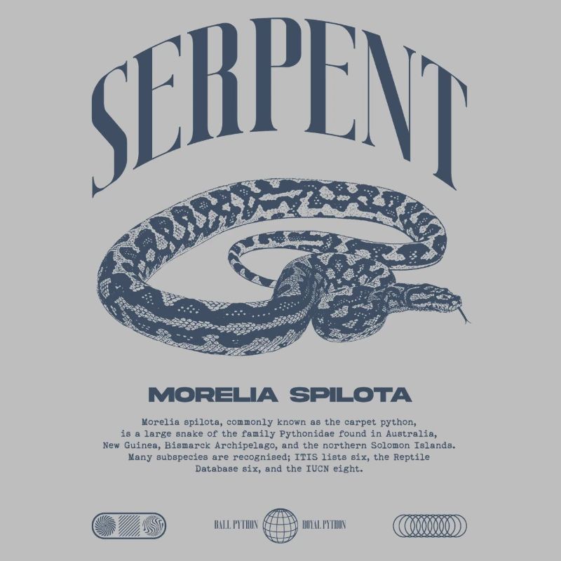 Tapis Python Moderne Reptile Keeper Streetwear