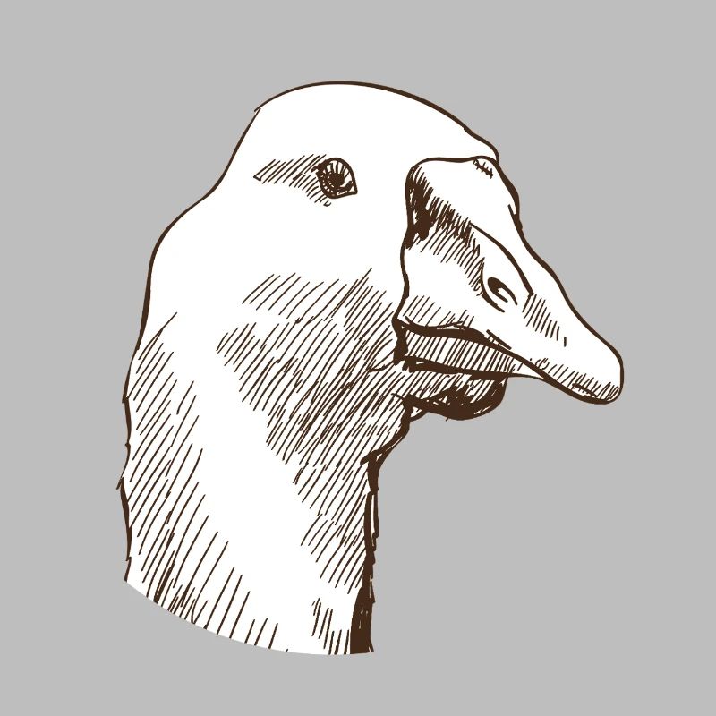 Gans