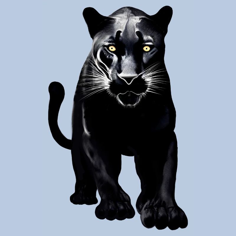Schwarzer Leopard