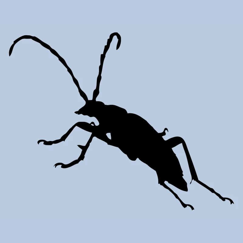 Käfer Bug