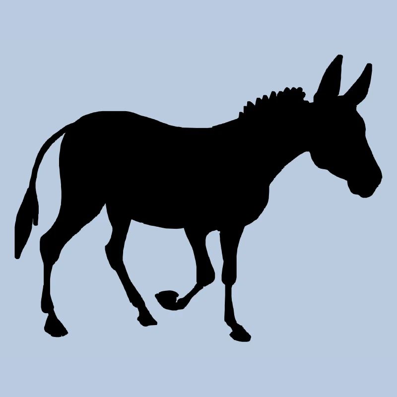 Âne