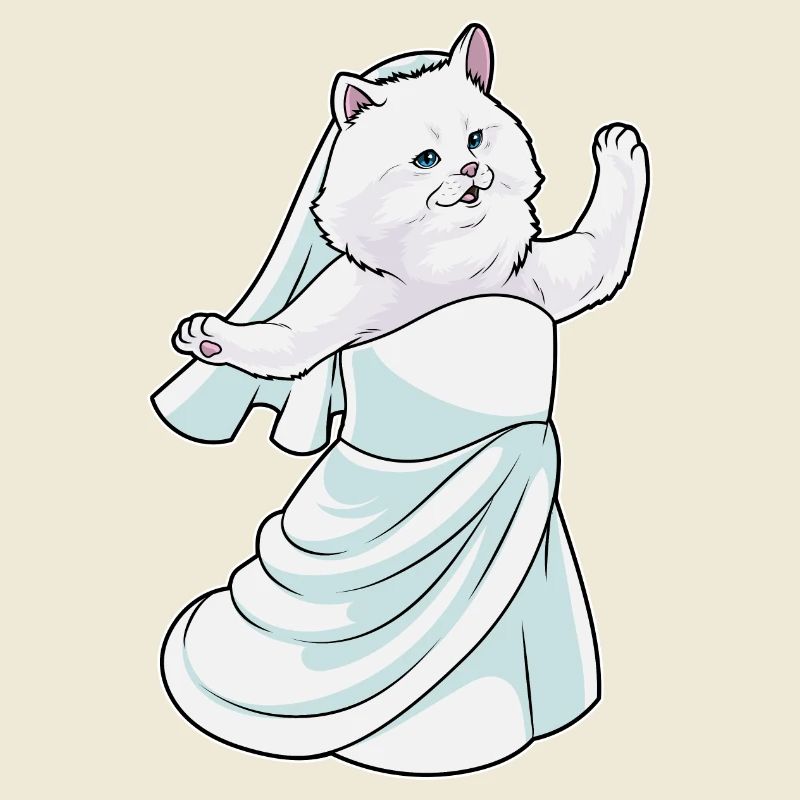 Chat persan robe de mariée