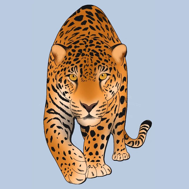 Leopard Raubkatze