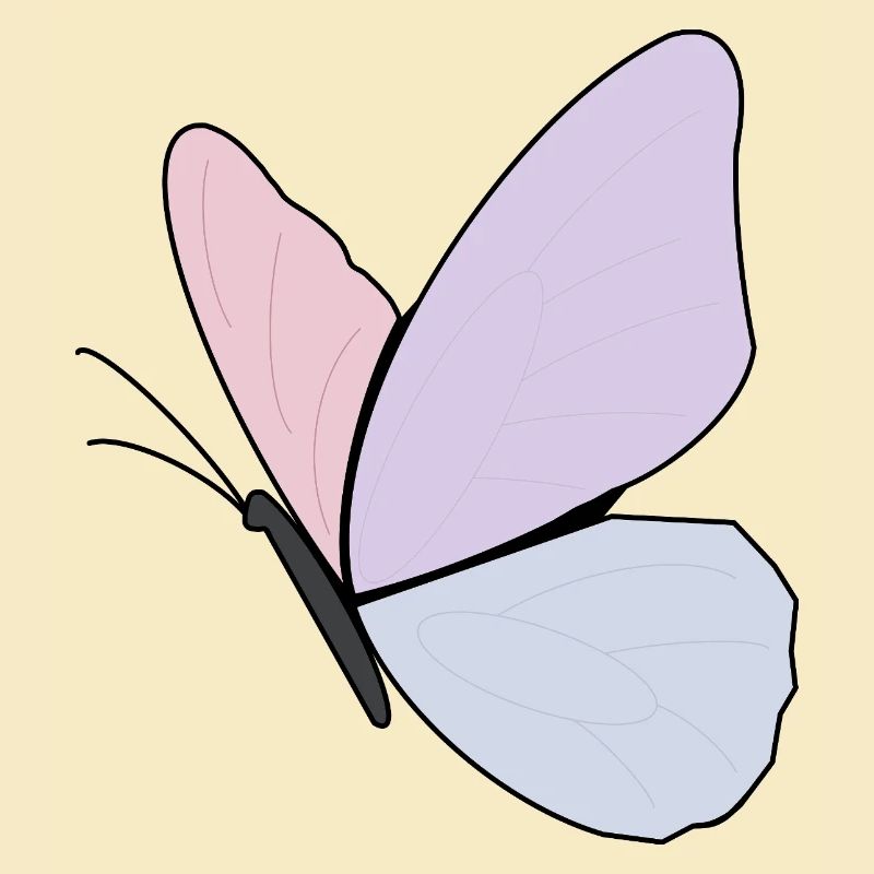 Conception de papillon pastel