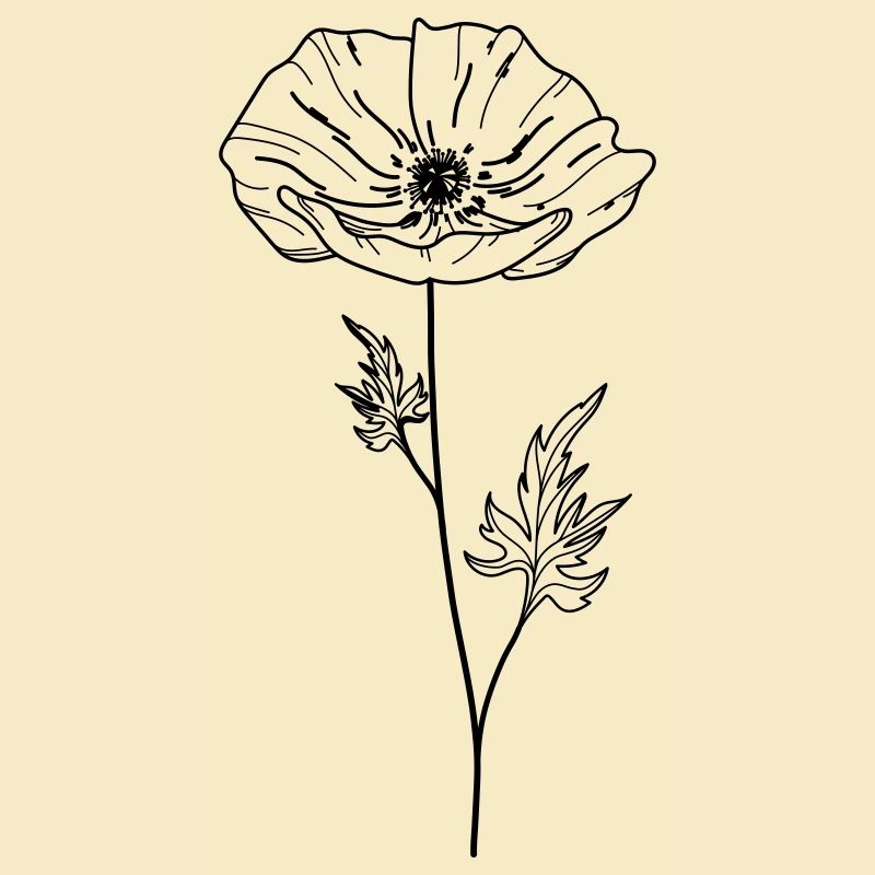 Fleur de coquelicot 13 Plan de travail 5