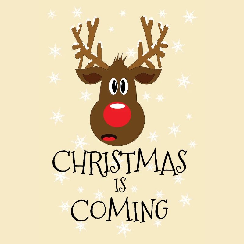 Noël approche neige