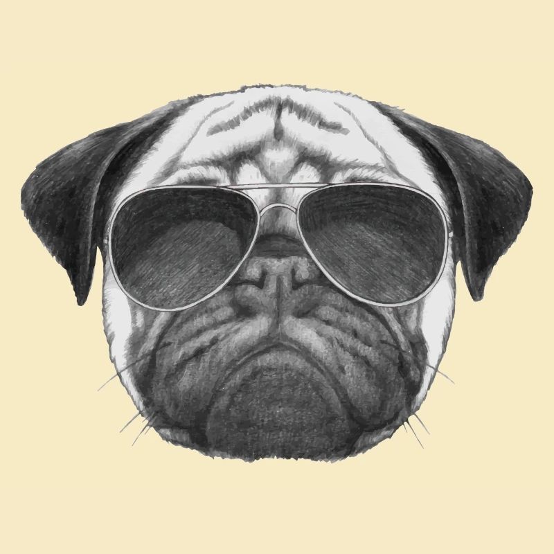 mops pug