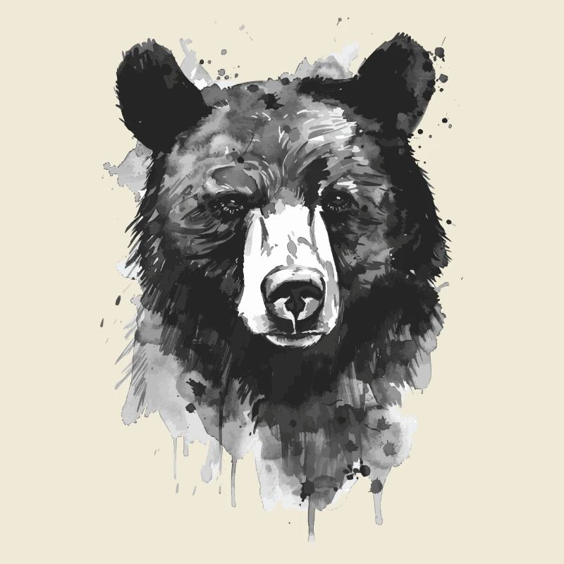 Black bear
