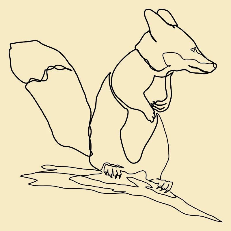 Fuchs Eichhörnchen Squirrel Fox