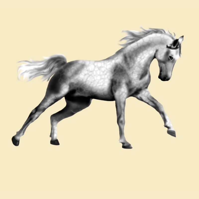 cheval