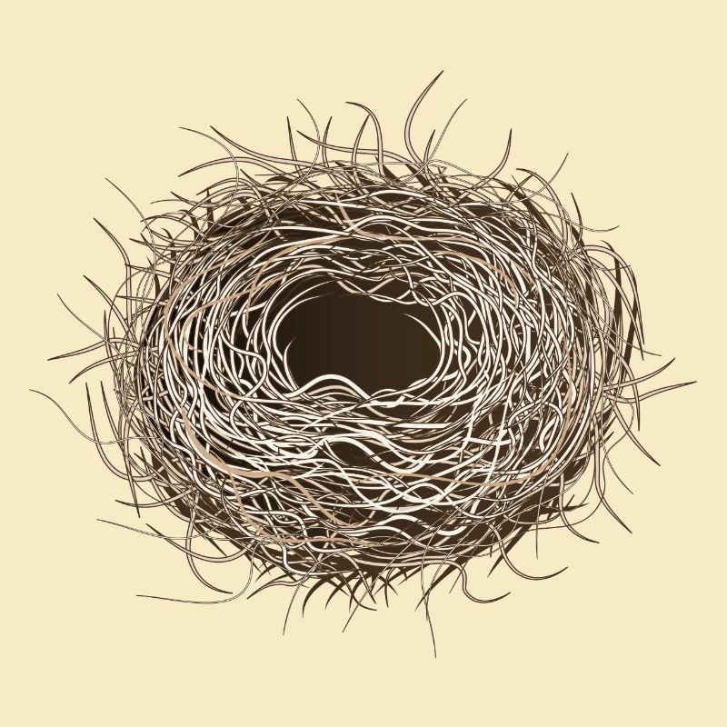 leeres Vogelnest oder Osternest zum Frühling