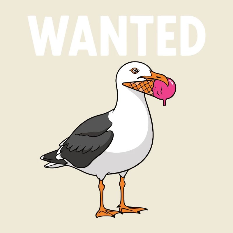 Gesucht Möwe Eiscreme Abenteuer