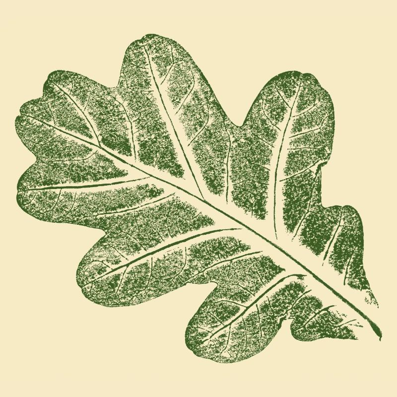 Feuille de chêne