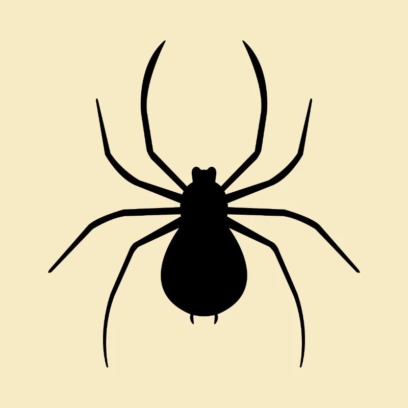araignée