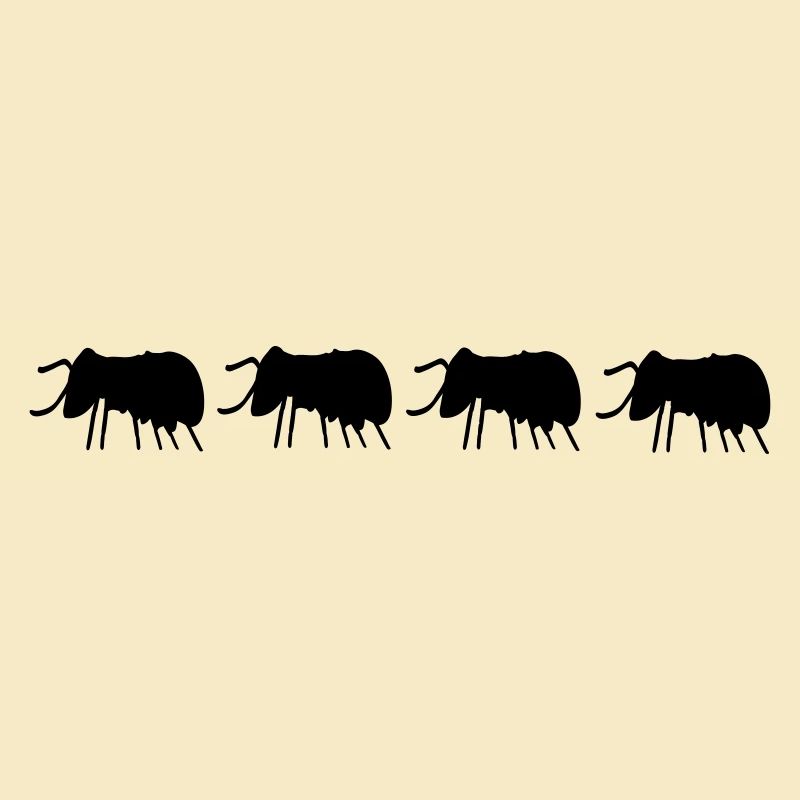 Beetles Bugs