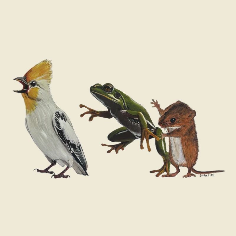 Die Polonaise oder Vogel, Frosch und Maus