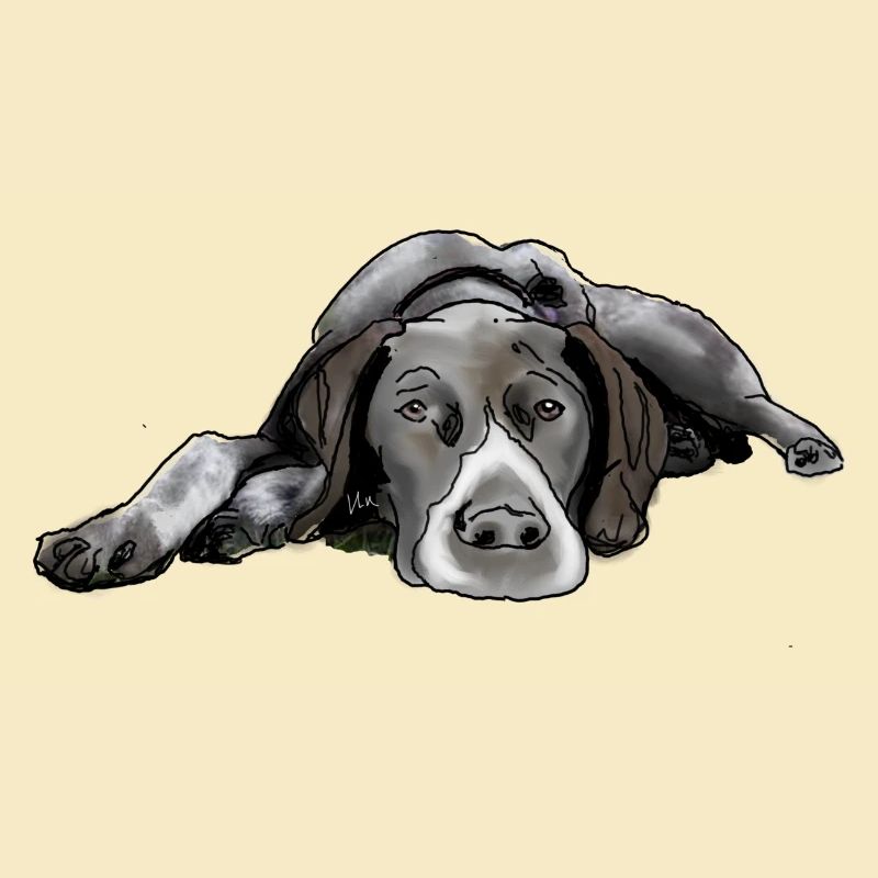 Pointer Deutsch Kurzhaar