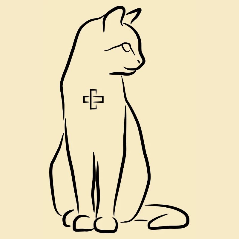 Cat First Aid