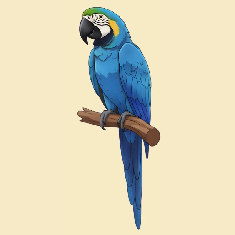 Ara bleu