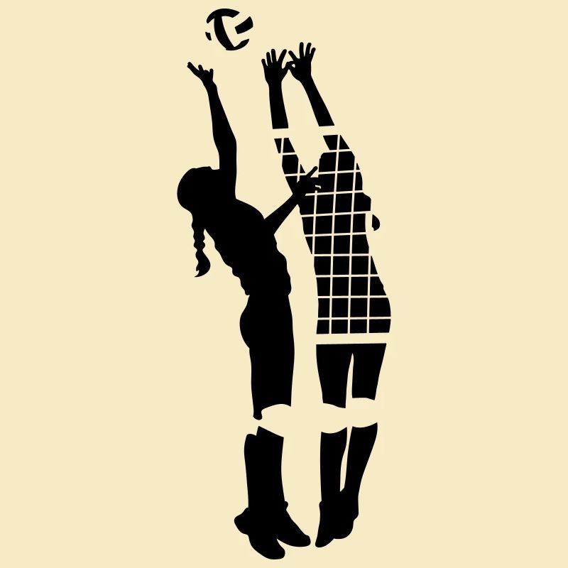 volley-ball