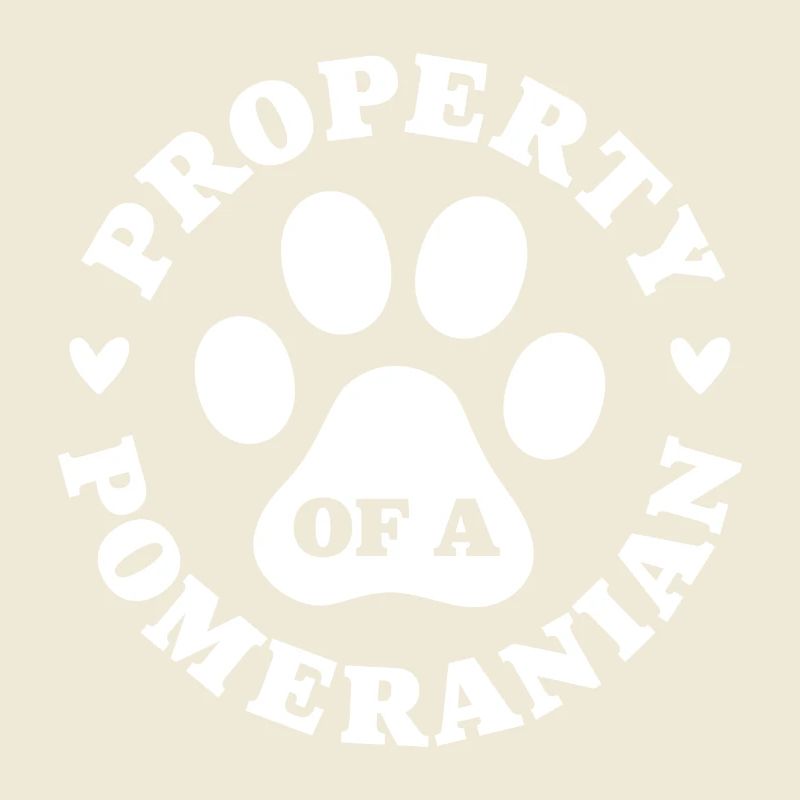 Eigentum eines Zwergspitzs