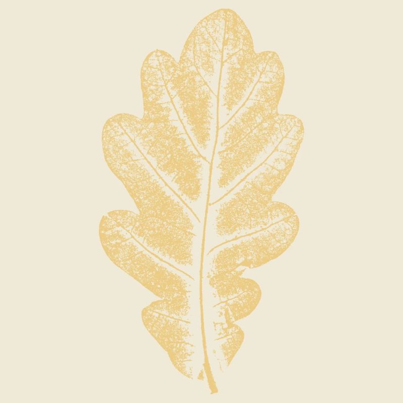 Eichenblatt - Khaki- Blatt/ Eiche/ Baum