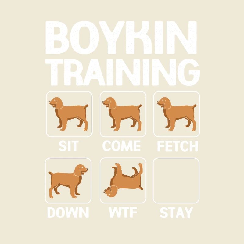 Boykin Spaniel