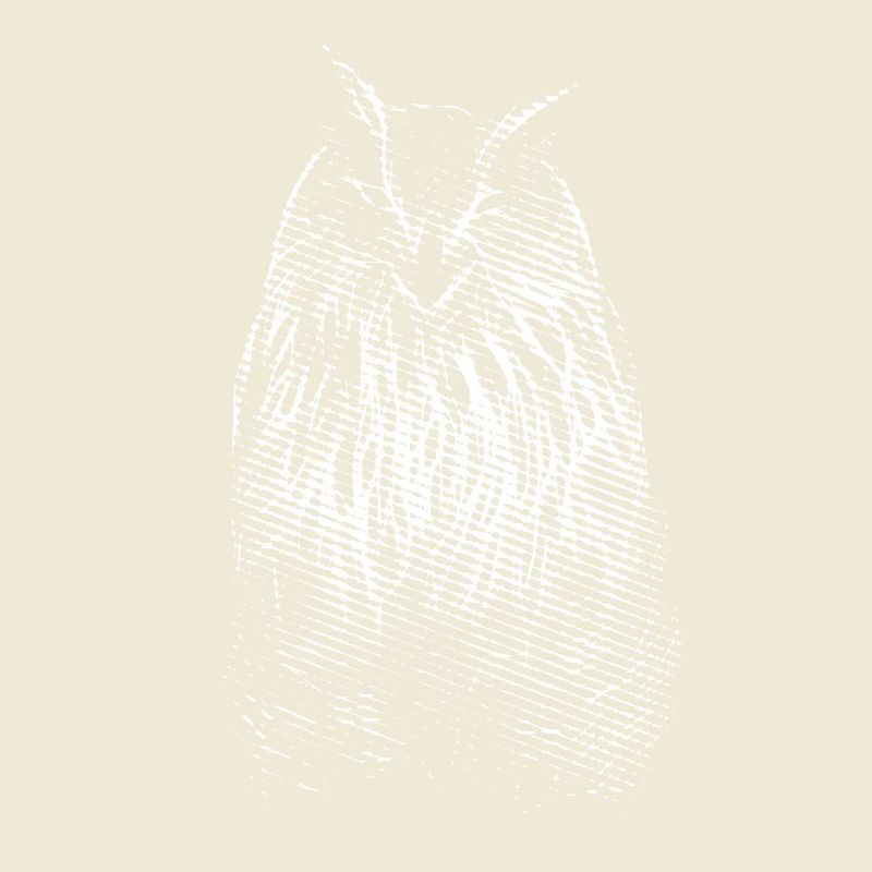 Das Lächeln von Herrn Owl. Eule, Eule