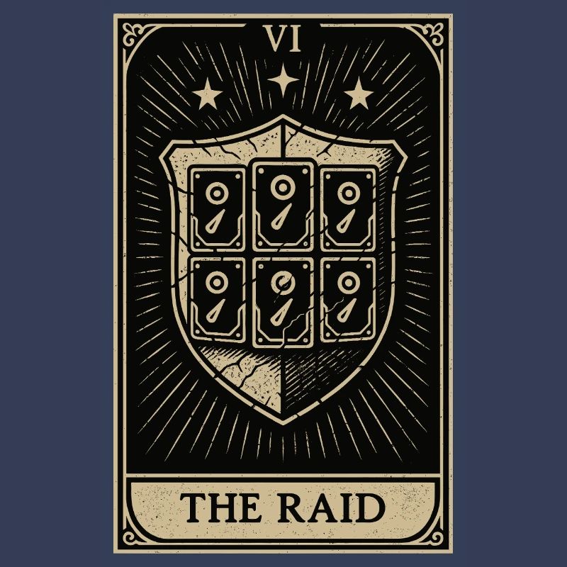 Tarot Datahoarding: Der RAID-Schutz